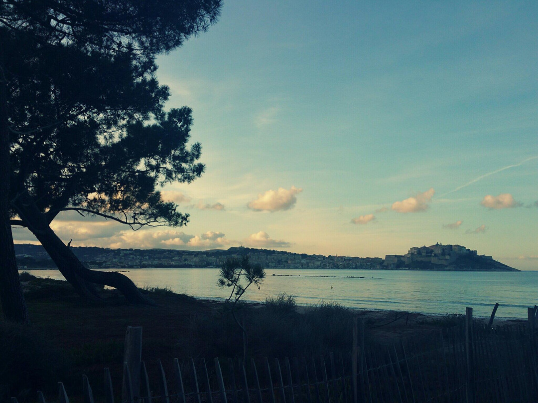 Plage de Calvi-卡尔维必去景点