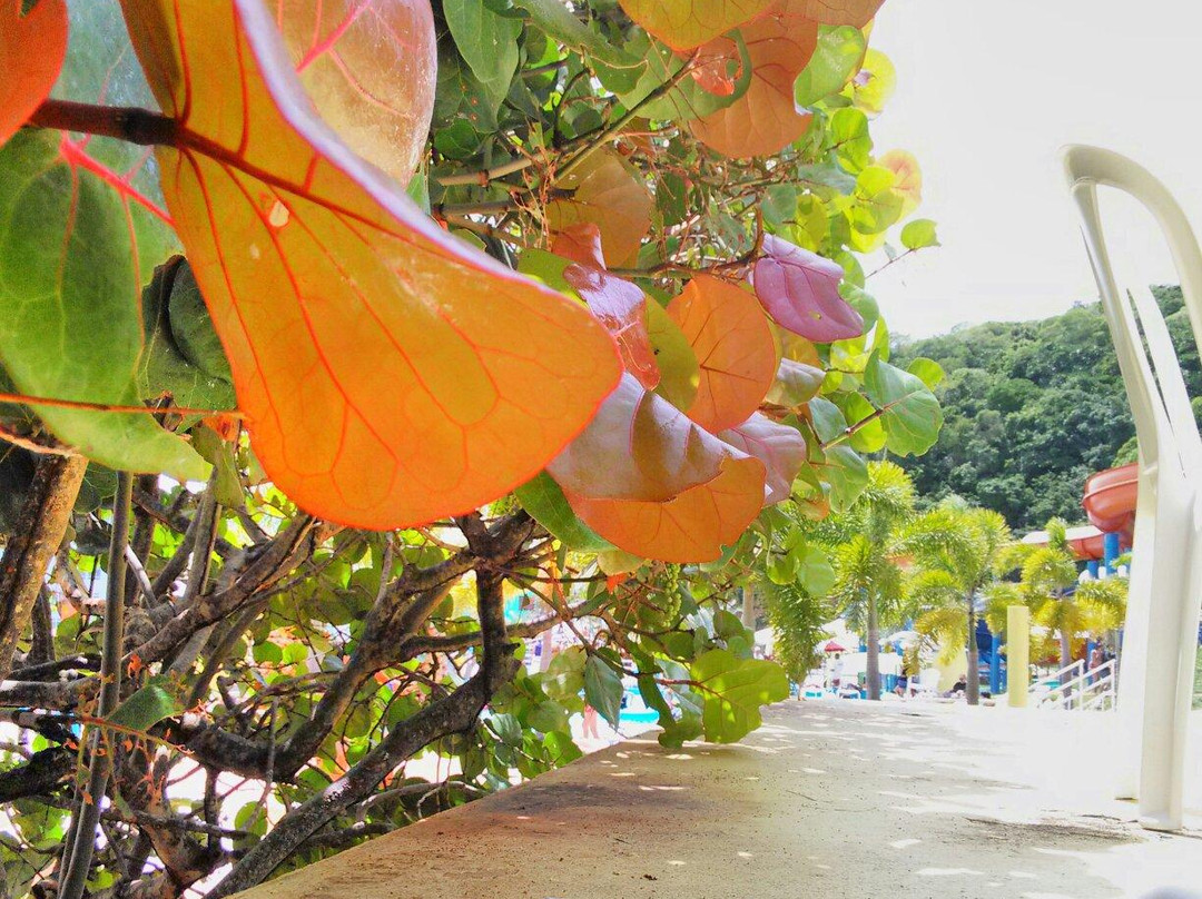 Las Cascadas Water Park-Aguadilla必去景点