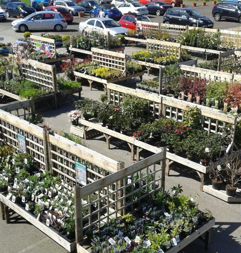 Retford & Gainsborough Garden Centre景点图片