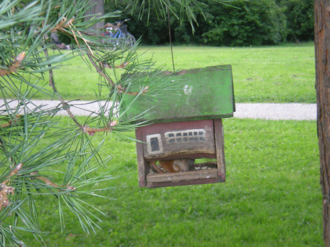 Kupittaa Park-土尔库必去景点