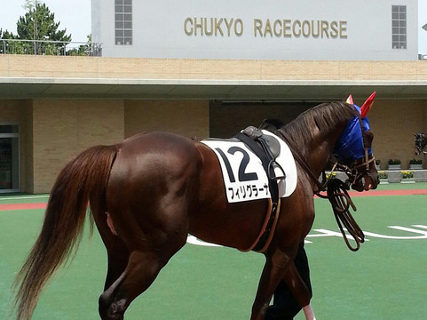 Chukyo Horse Race Track-丰明市必去景点