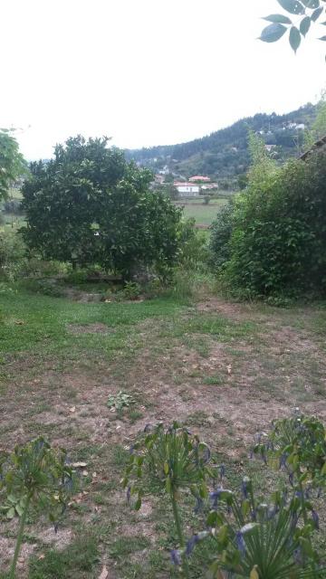 大瓦尔泽亚之家-客卧