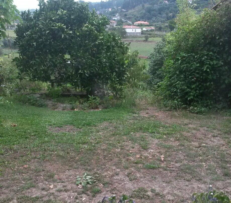 大瓦尔泽亚之家主图