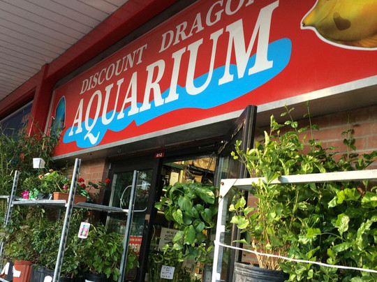 Mississauga Chinese Centre-米西索加必去景点