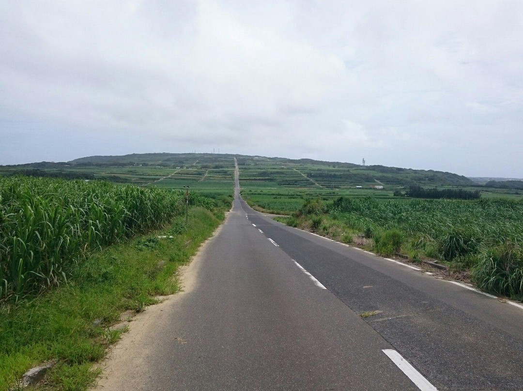 Straight Road景点图片