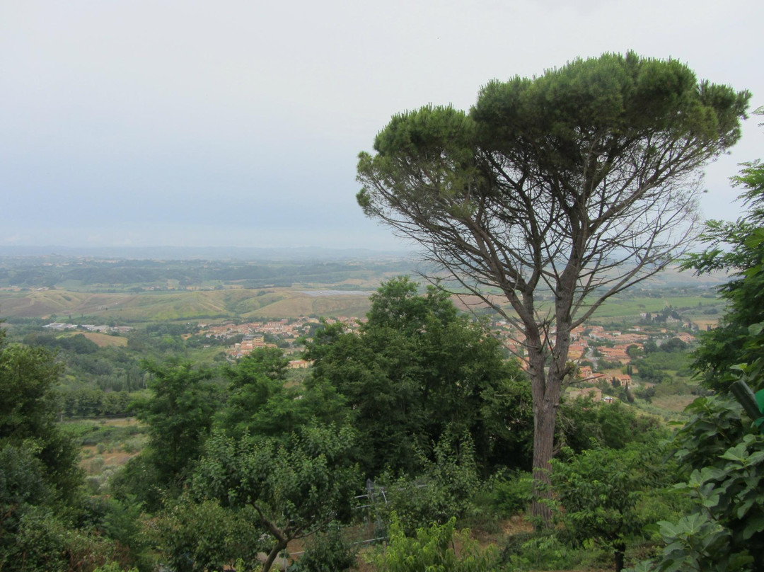 Rocca Di Montanino景点图片