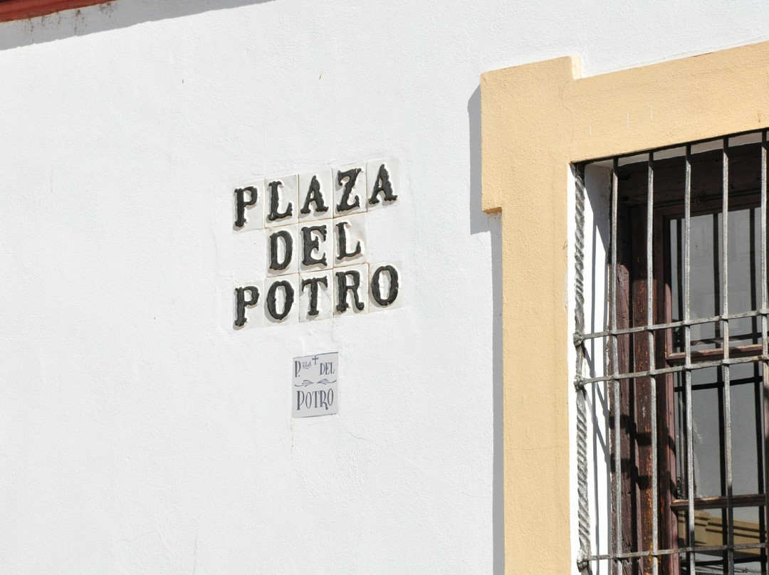 Plaza del Potro景点图片