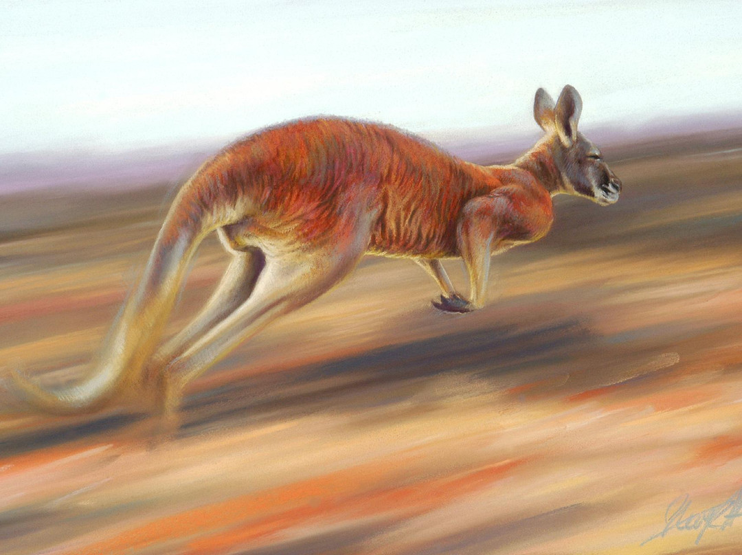 Steve Morvell Wildlife Art-贺思盖必去景点