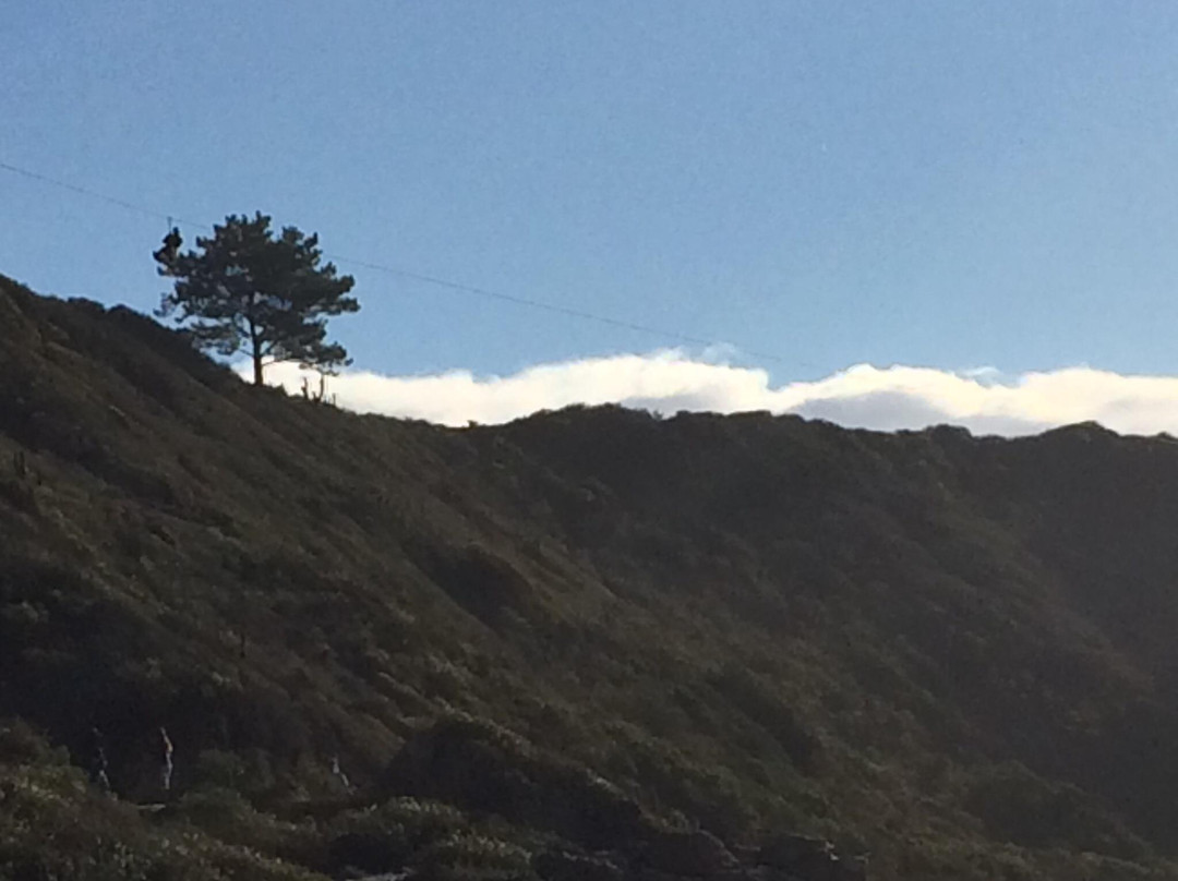 Playa Canelo-瓦尔帕莱索必去景点