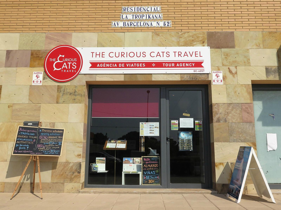 The Curious Cats Travel景点图片