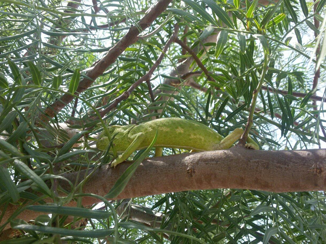 Hostal Mini Golf主图