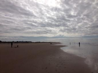 El Palmar-加的斯市必去景点