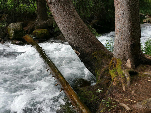 East Maroon Trail-阿斯蓬必去景点