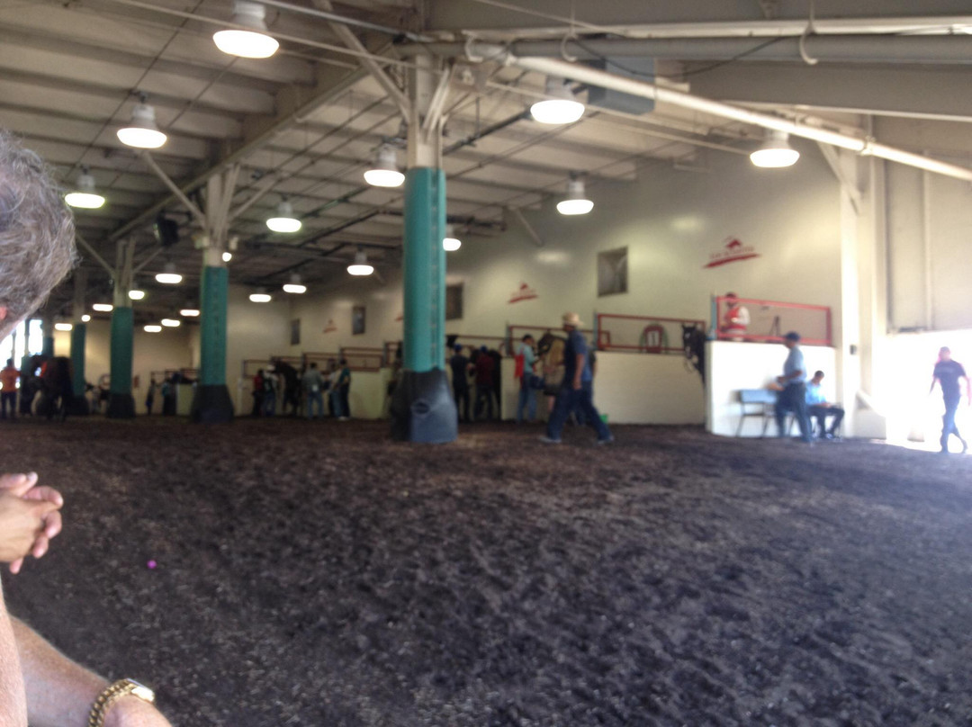 Los Alamitos Race Course-洛斯阿拉米托斯必去景点