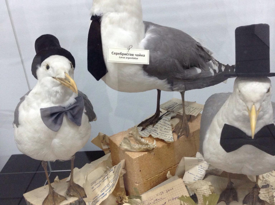 Nature Museum of Novosibirsk State Museum of Local Lore-新西伯利亚必去景点