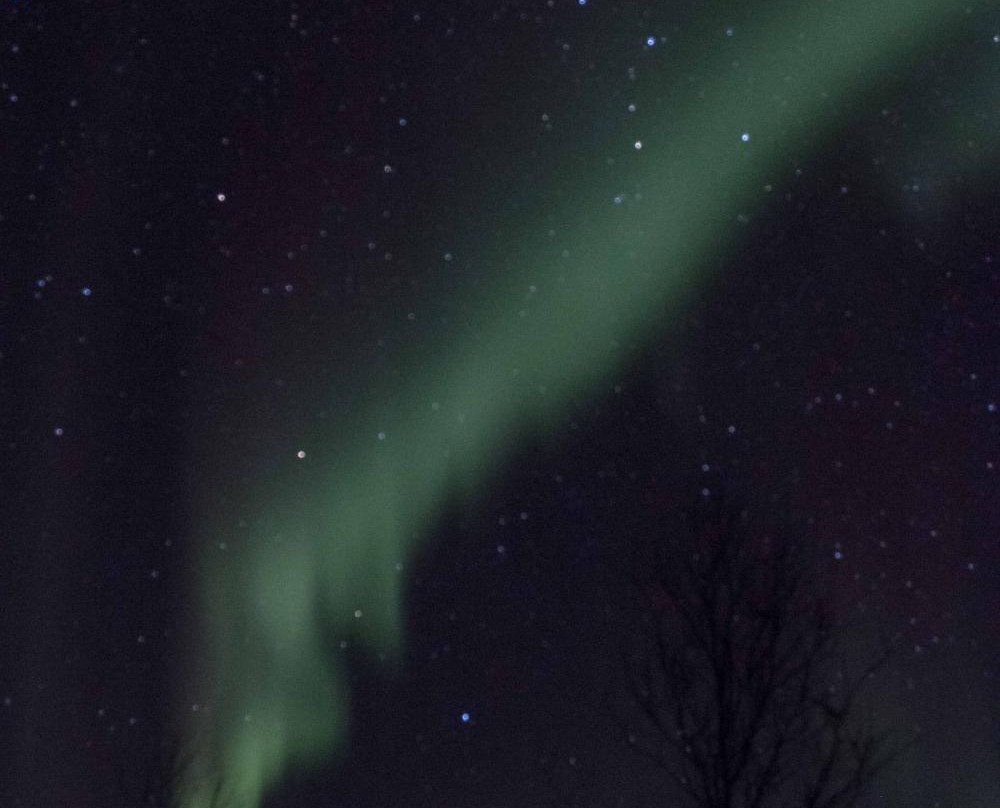 Tundrasafari Finland - Day Tours-Utsjoki必去景点