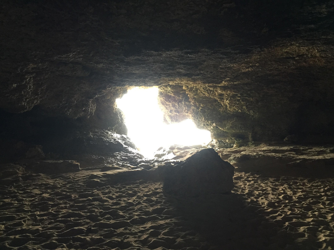 Iejima Beach Side Horse Park-伊江村必去景点