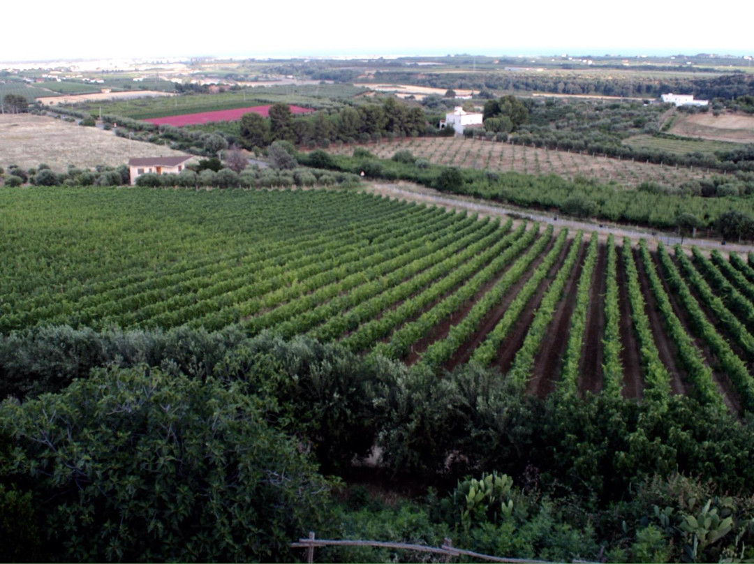 Agriturismo La Collinetta