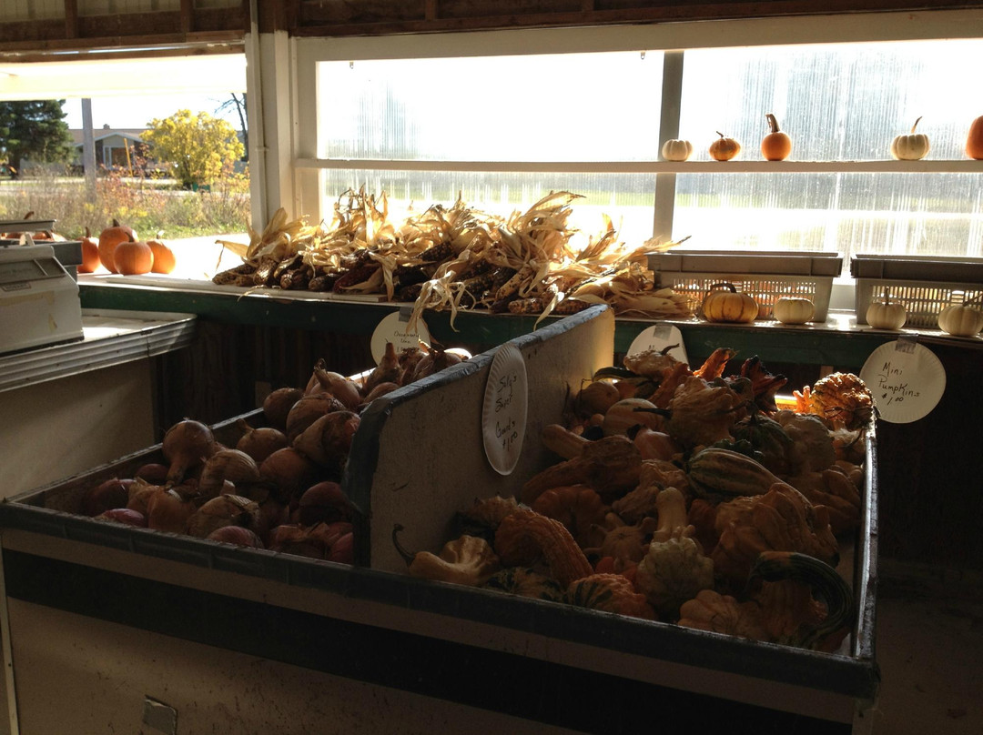 Sully's Produce LLC-斯特金贝必去景点