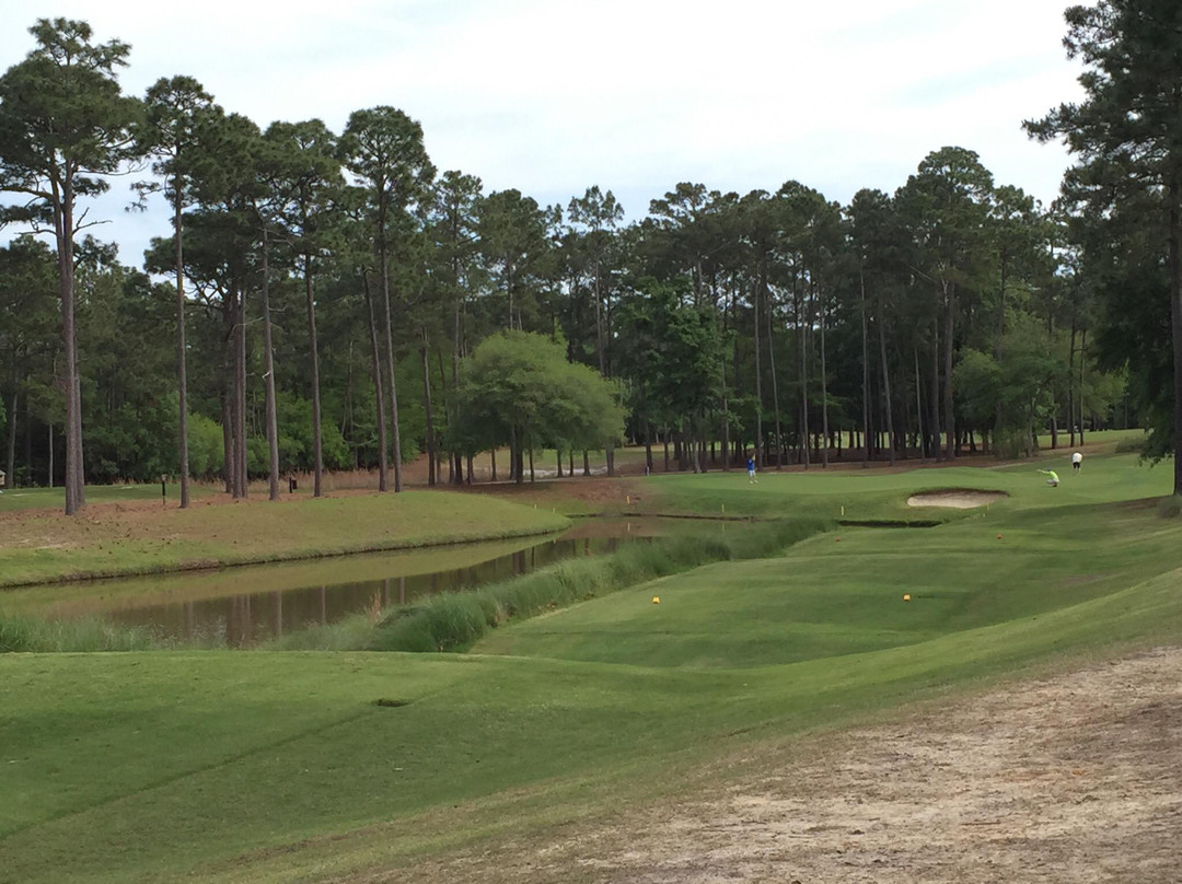 TPC Myrtle Beach景点图片