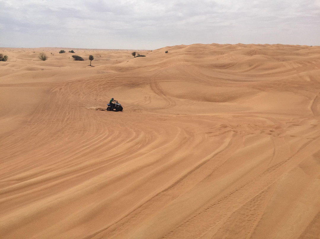Golden Desert-迪拜必去景点