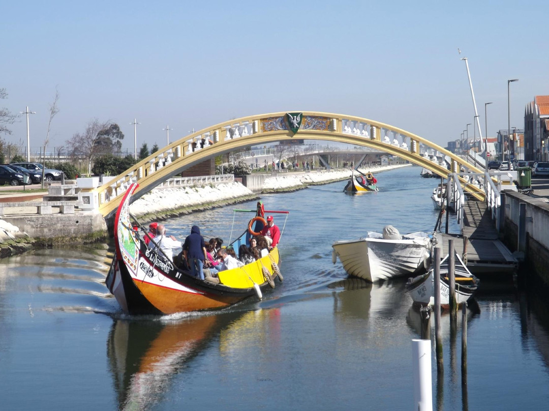 Aveiro Walk Around景点图片
