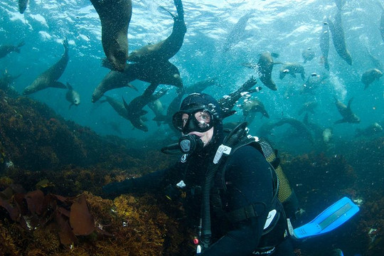 Ocean Adventure Bookings-开普敦中心区必去景点