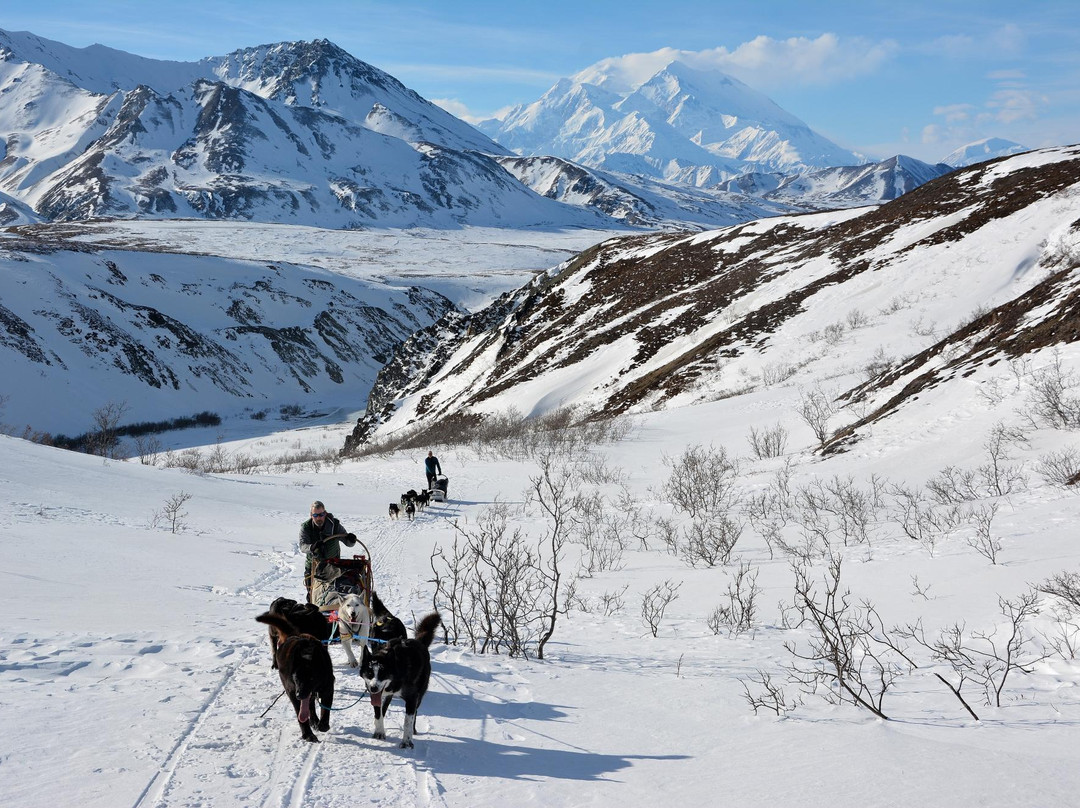 Dog Sledding Tours at EarthSong Lodge-希利必去景点