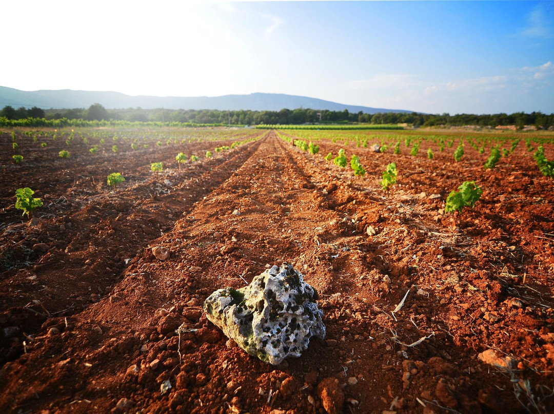 Domaine De Brunet-Causse de la Selle必去景点