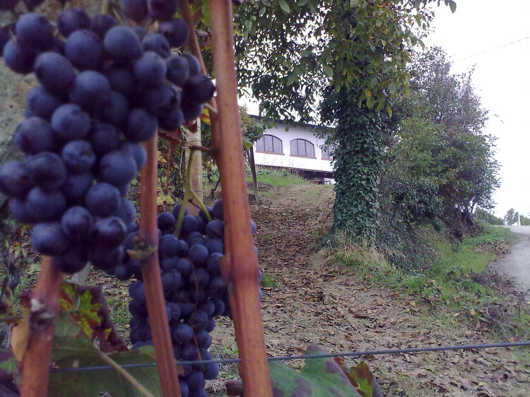 Cascina Saria景点图片