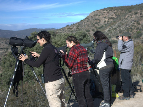 Birdwatching Spain-Grau de Gandia必去景点