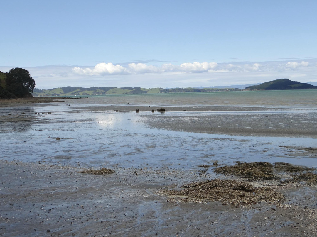 Duder Regional Park-Howick必去景点