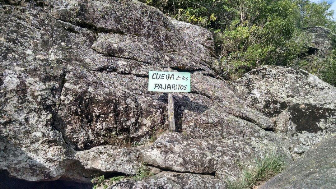 Cueva de Los Pajaritos景点图片