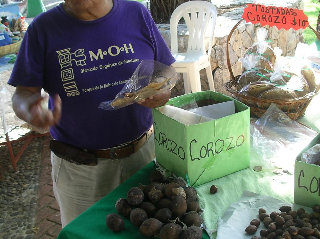Mercado Orgánico Huatulco-Crucecita必去景点