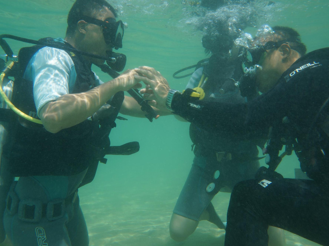 BK Dive Resort - Day Dives景点图片