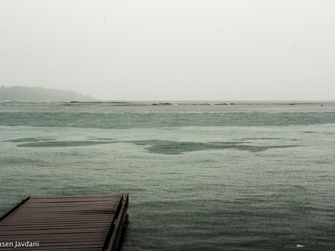 Bocas Surf School & Hostel景点图片