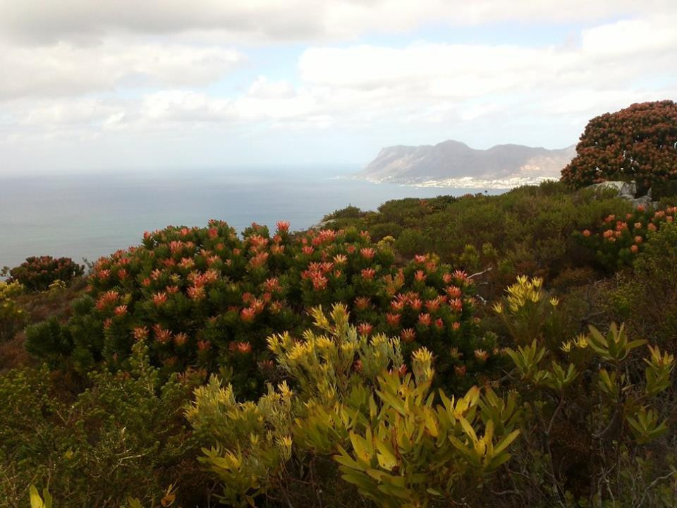 Fish Hoek Mountain-鱼角必去景点