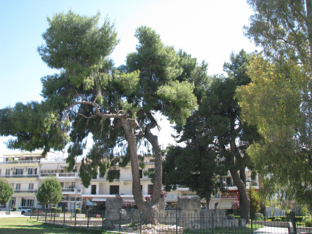 Archaeological Site of the Acropolis of Sparta-Sparta必去景点