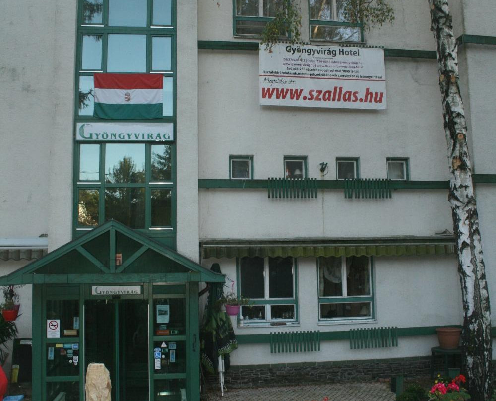 Hotel Gyongyvirag主图