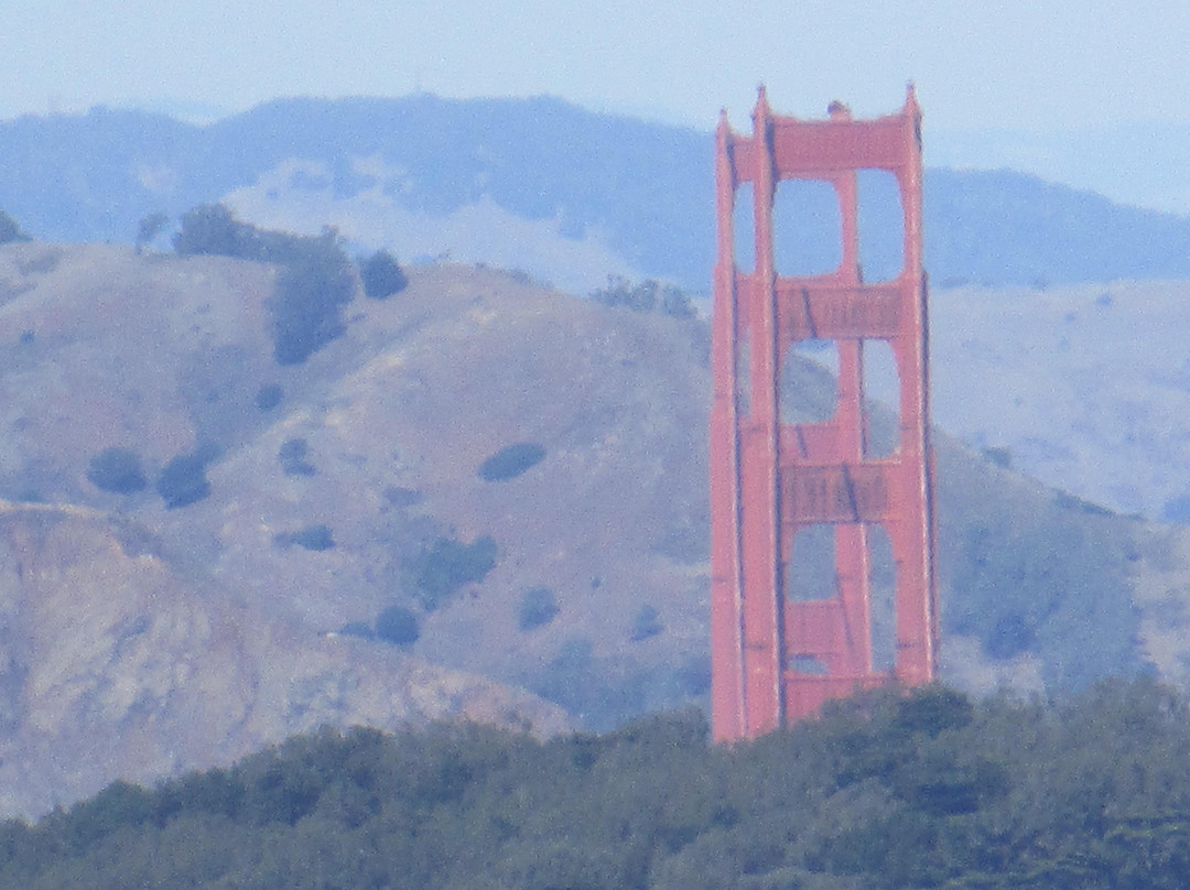 马赛克艺术阶梯-旧金山必去景点