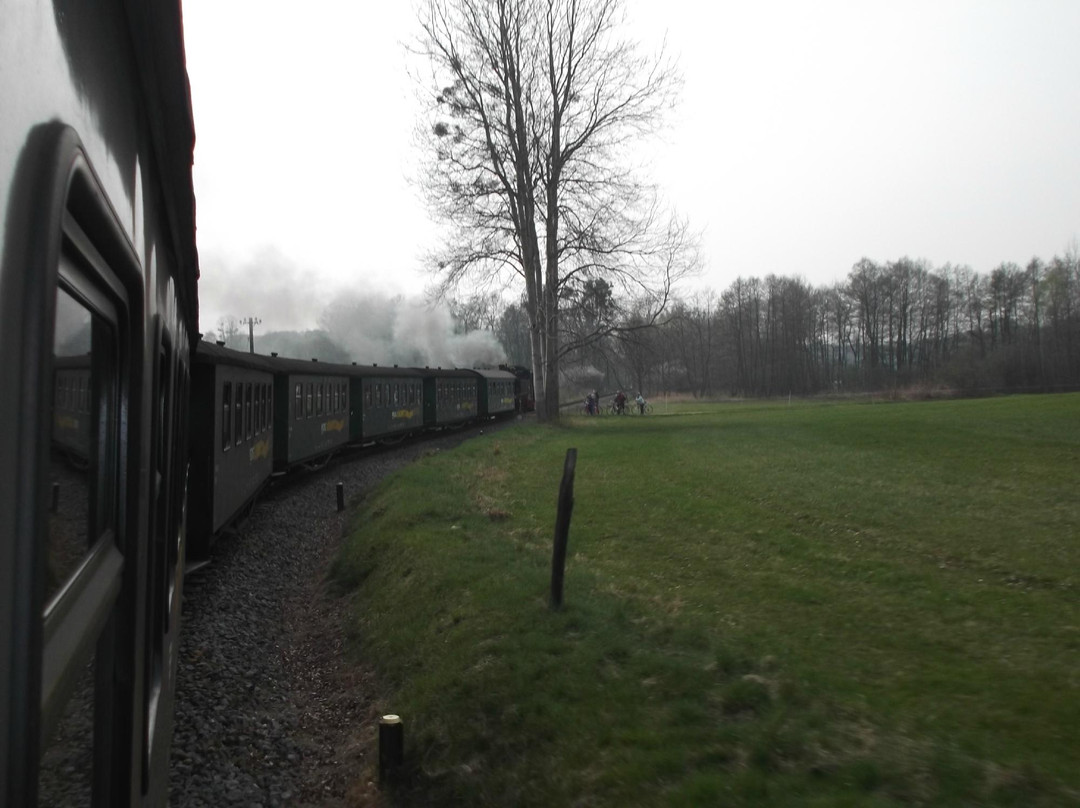 Löeßnitzgrundbahn Radebeul景点图片