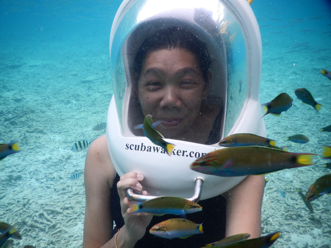 Scuba Walker-热浪岛必去景点