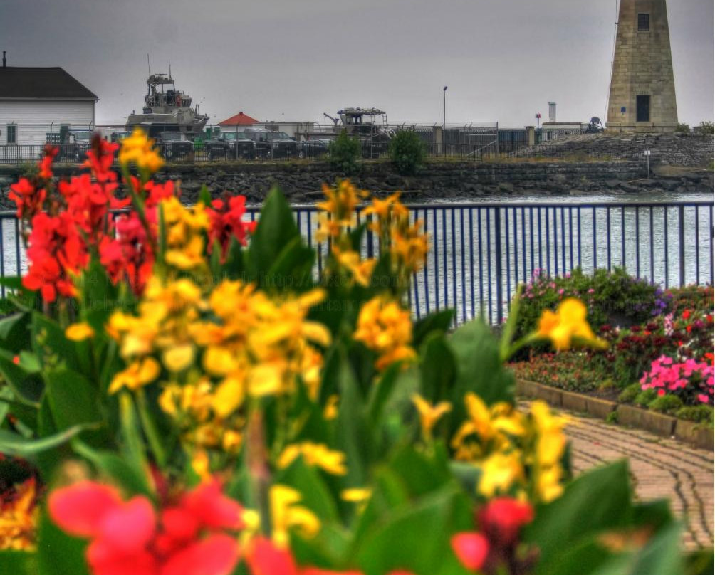 Erie Basin Marina Gardens景点图片
