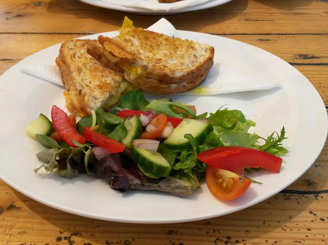 Lake Bennett旅游景点-Crazy Acres