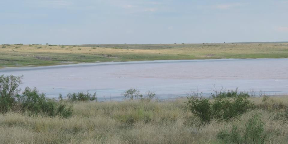 Muleshoe National Wildlife Refuge景点图片