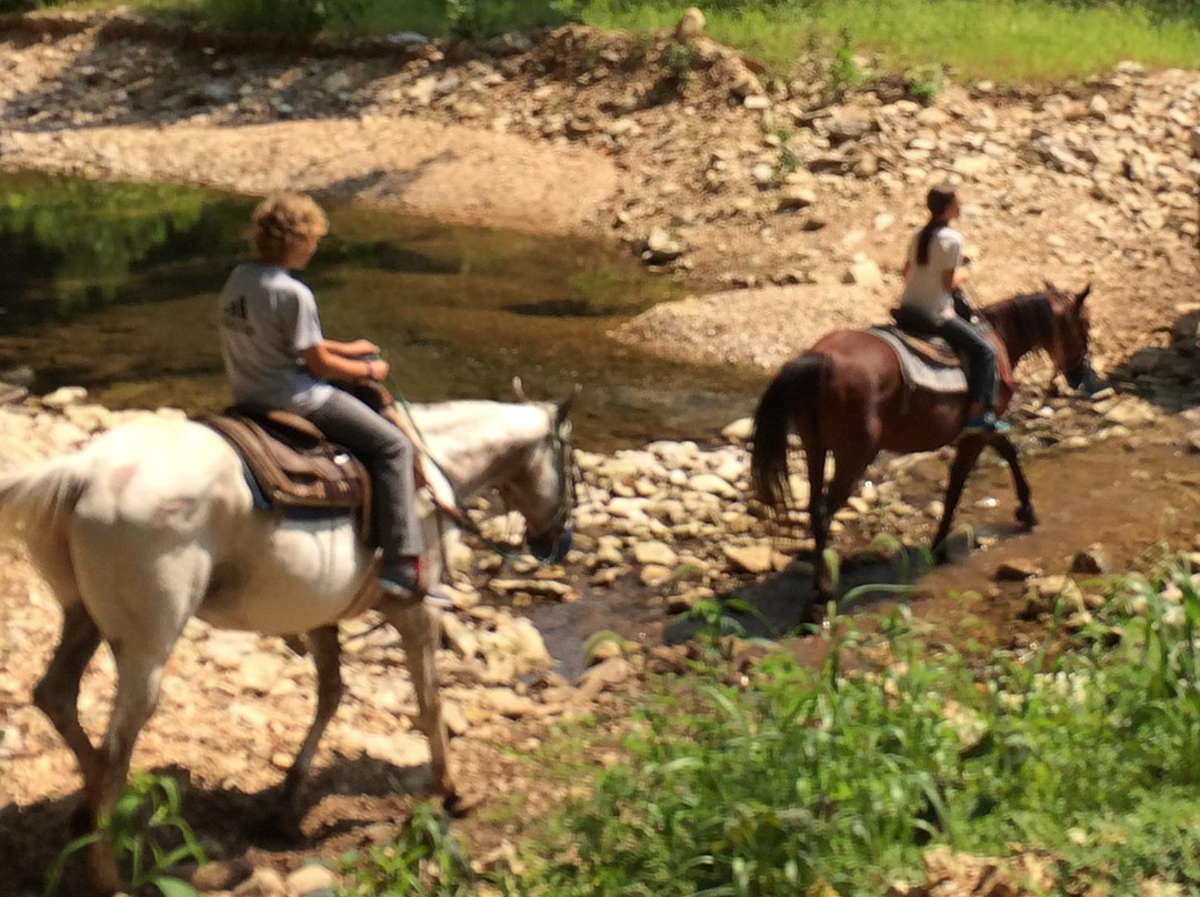 Bear Creek Trail Rides and Stable-Walnut Shade必去景点