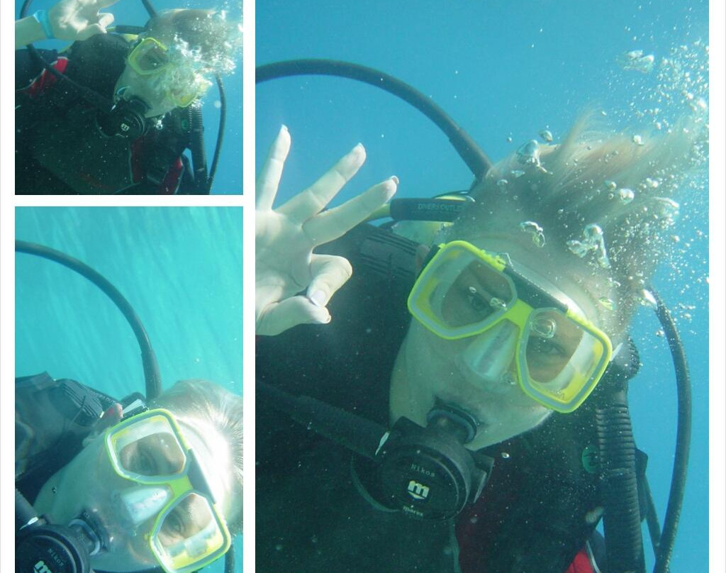 Dolphin Diving Centre景点图片