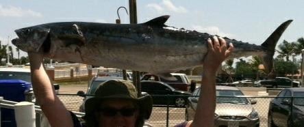 Bar Jack Fishing-Lantana必去景点