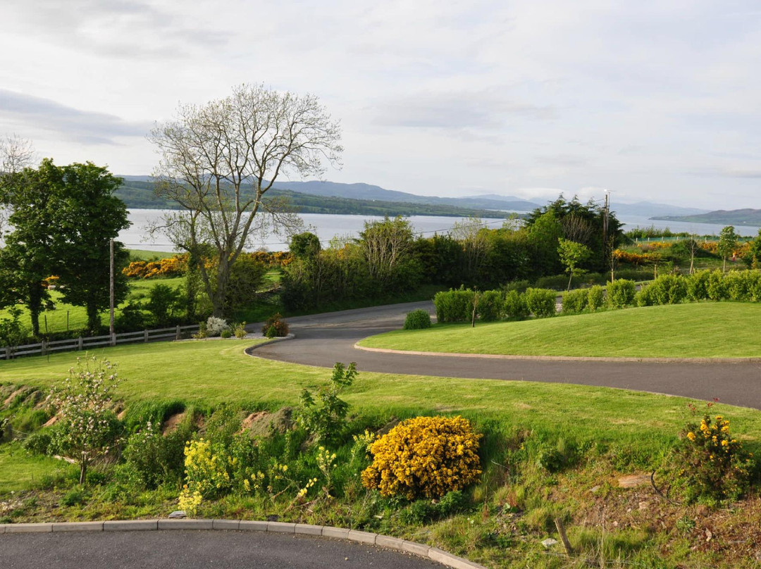 Ballylawn Lodge Bed And Breakfast主图