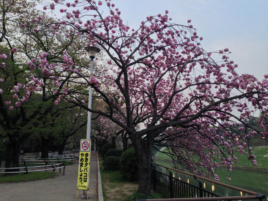 千鸟渊-千代田区必去景点